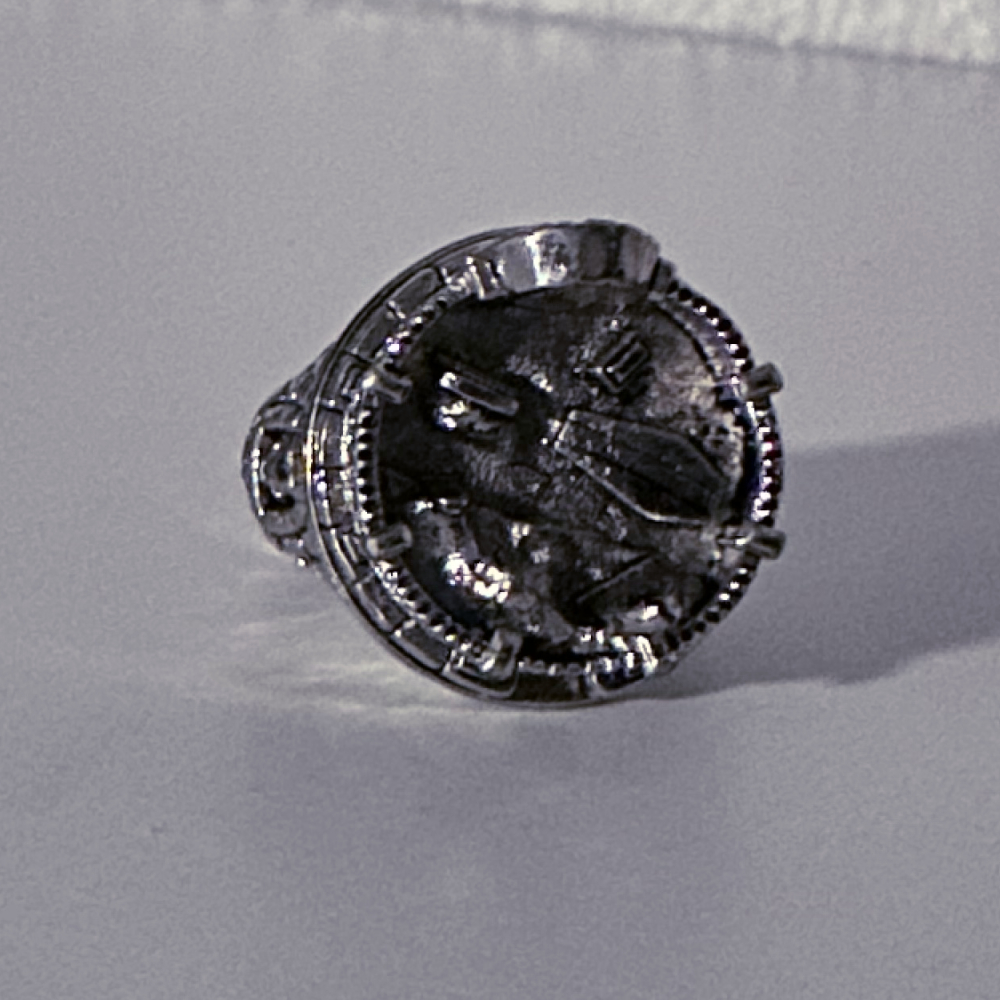 TeamSESH BONES Cemetery Ring (7)